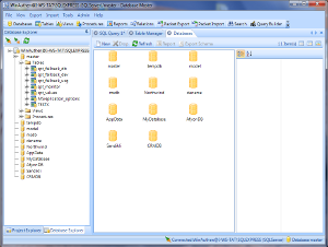 Database Master